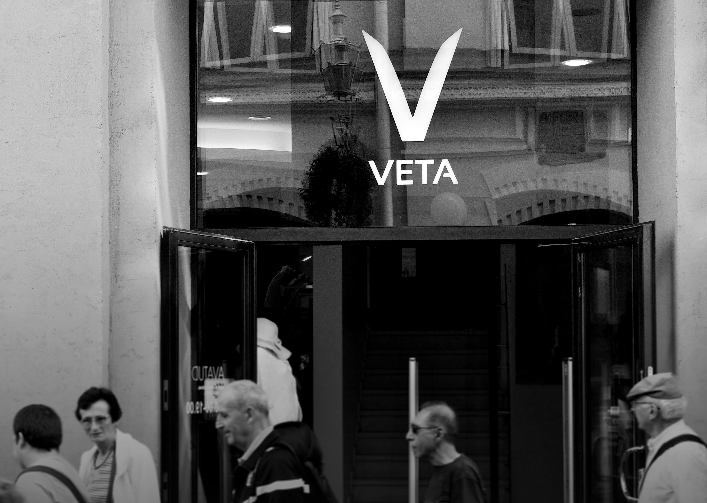 Veta Logotype and Print Materials