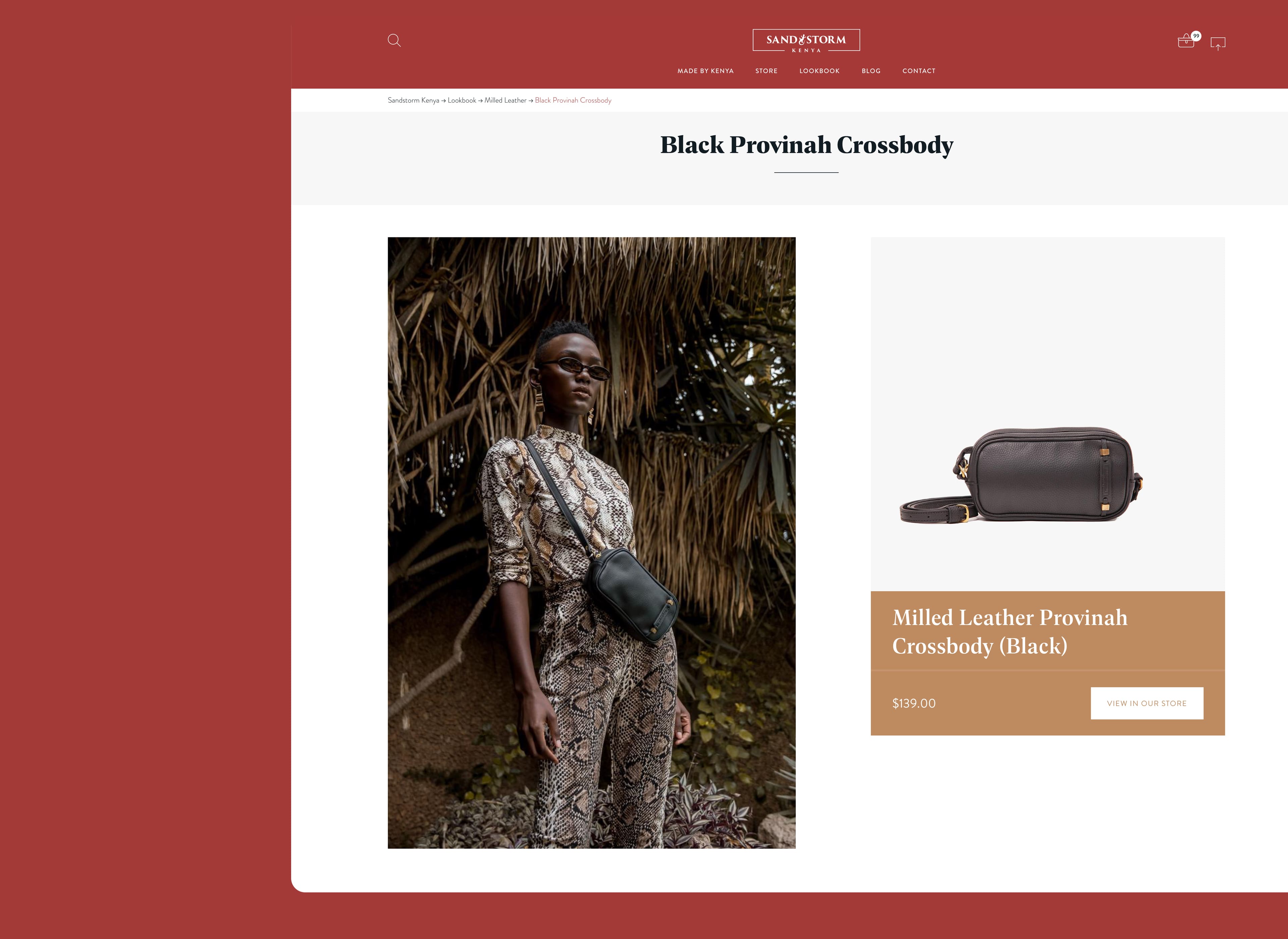 Sandstorm Kenya Website Mock-ups