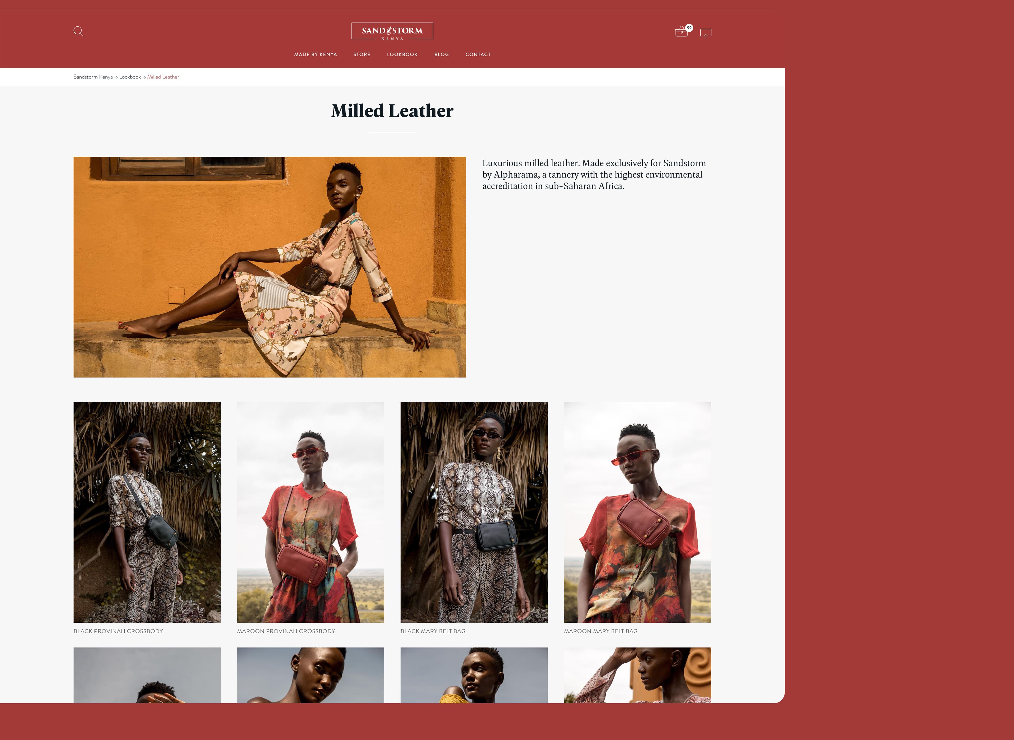 Sandstorm Kenya Website Mock-ups